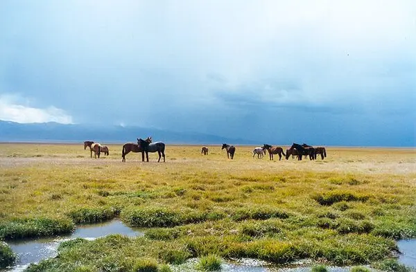 Kyrgyzstan
